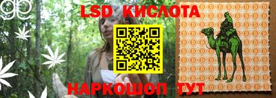 mdpv Дубна